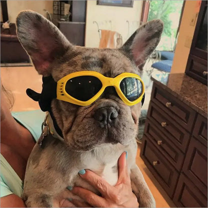 Cool Dog Sunglasses