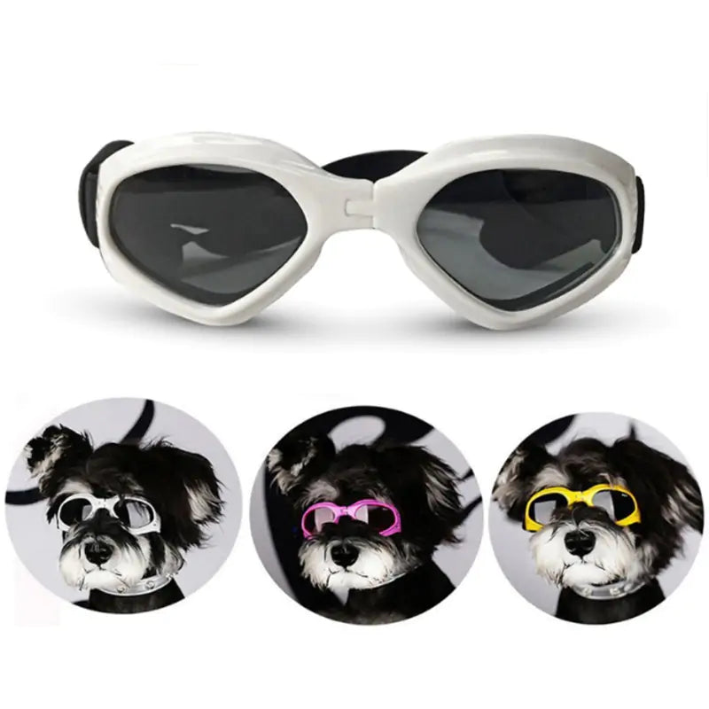 Cool Dog Sunglasses