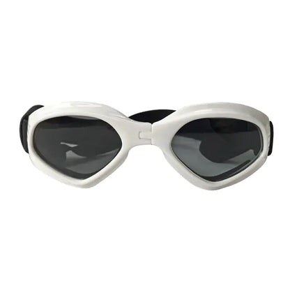 Cool Dog Sunglasses